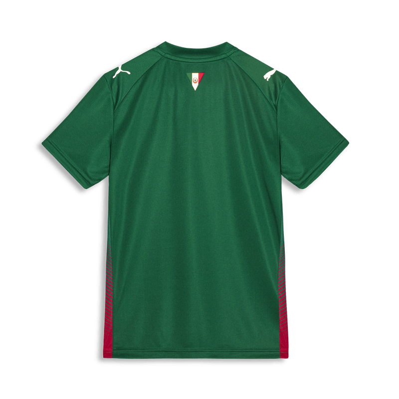 Camisa Palmeiras Puma I 26/27 Torcedor Infantil